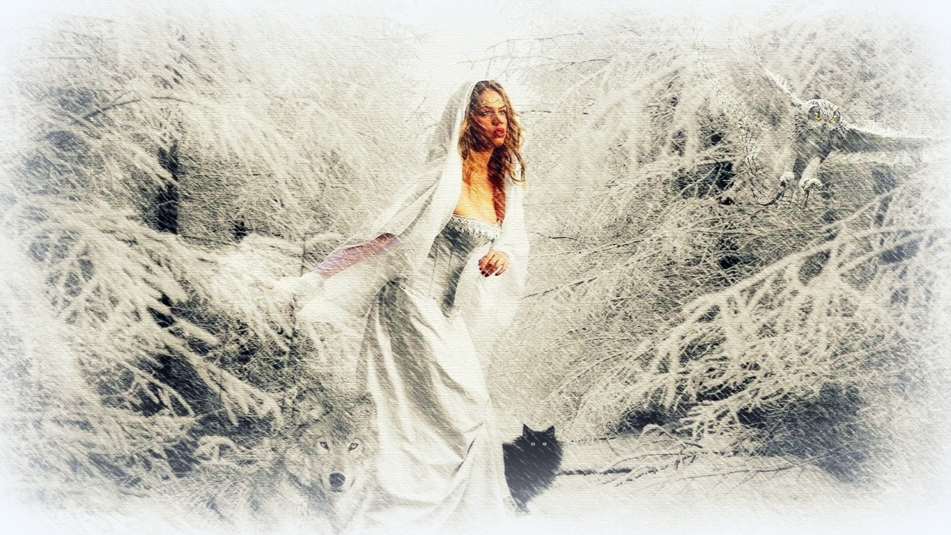 Иллюстрация к публикации