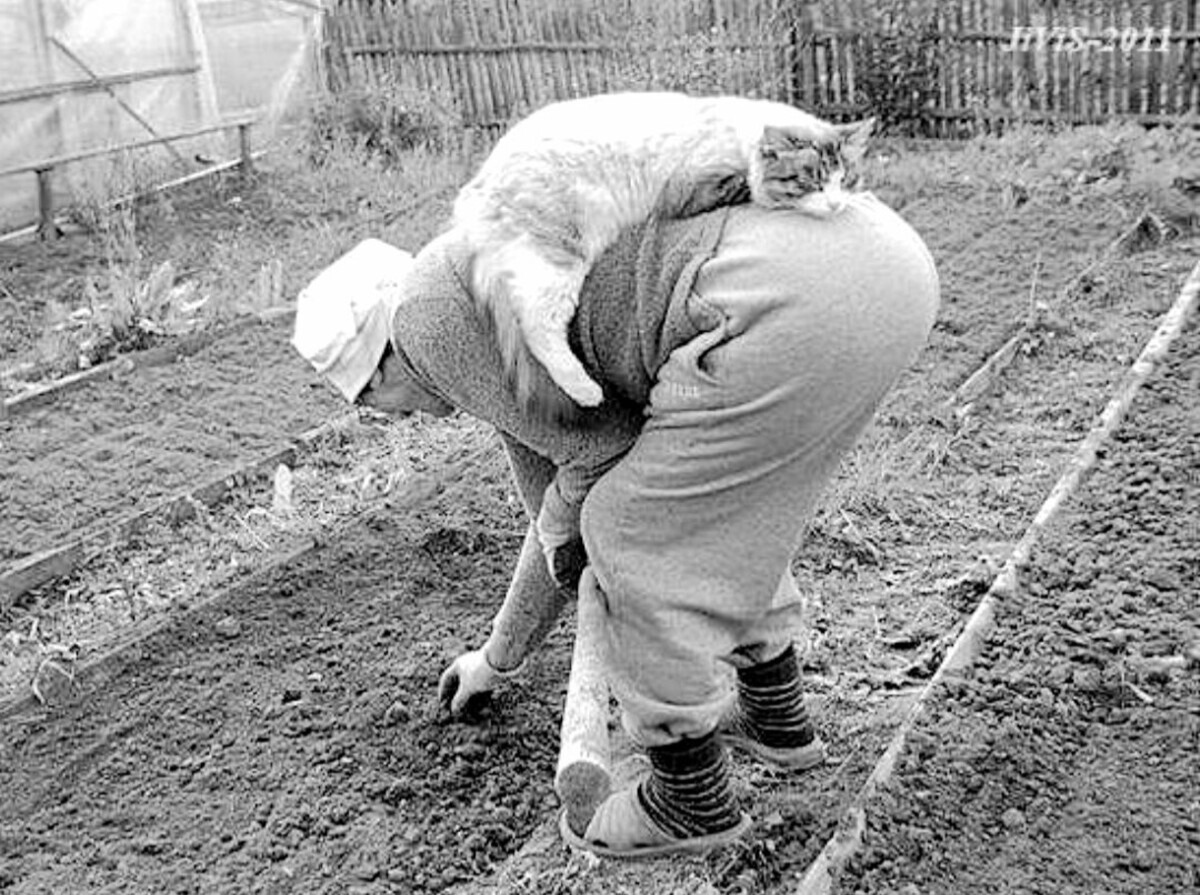 Иллюстрация к публикации