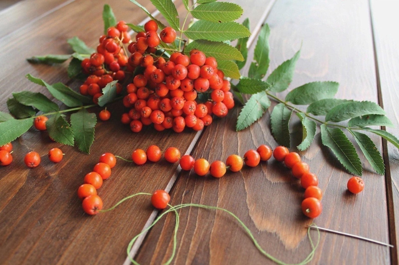 Иллюстрация к публикации