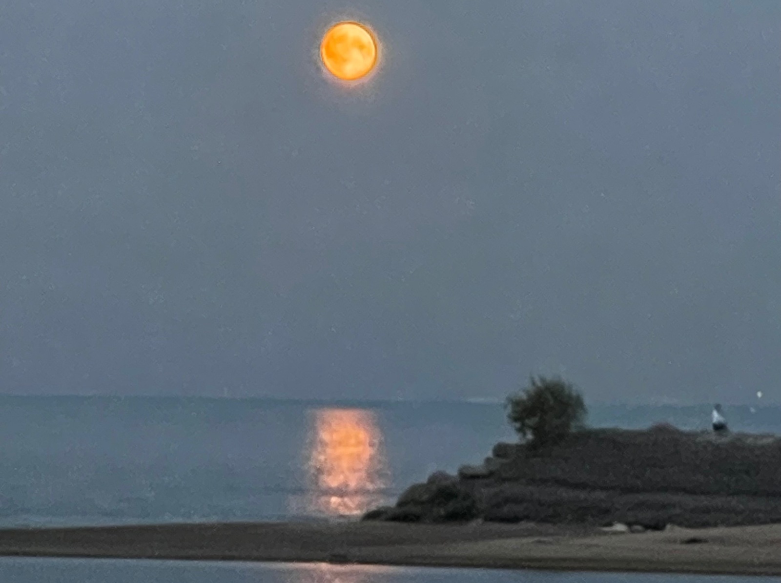 Иллюстрация к публикации