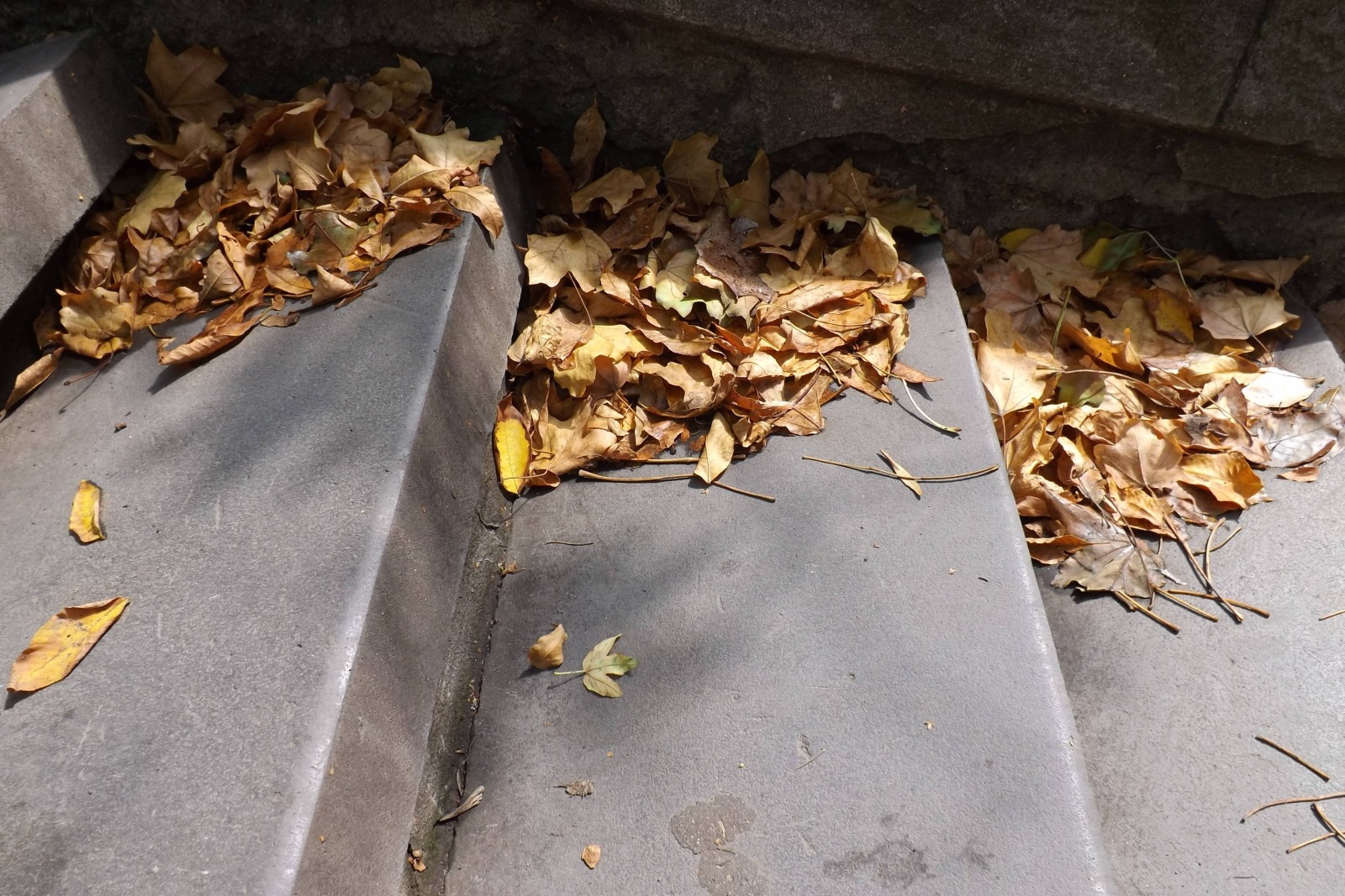 Иллюстрация к публикации