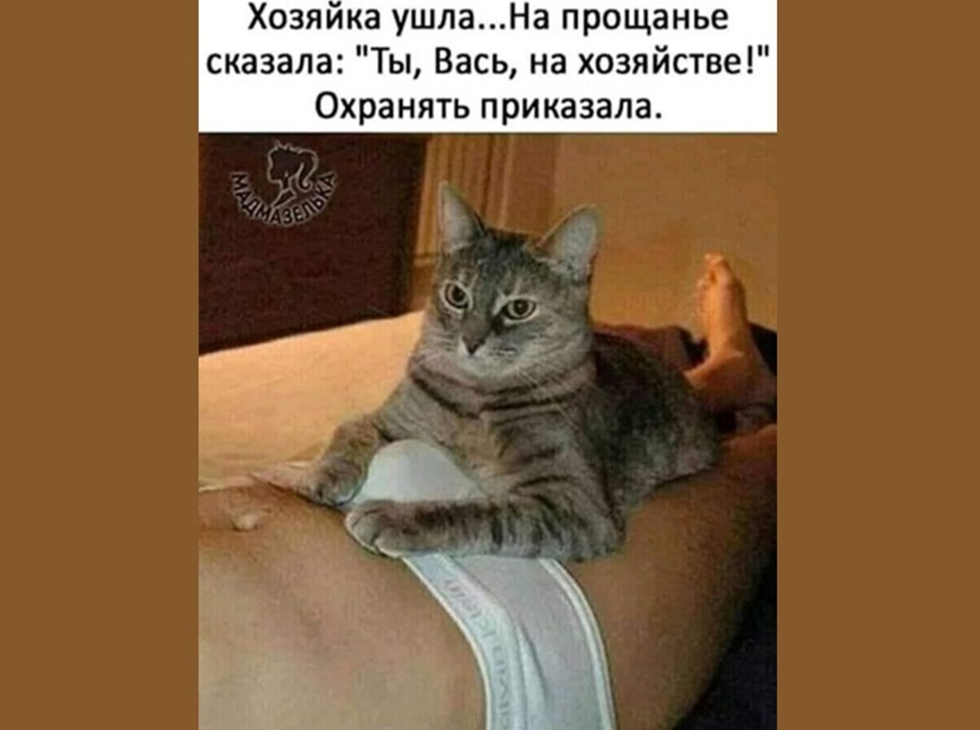 Иллюстрация к публикации