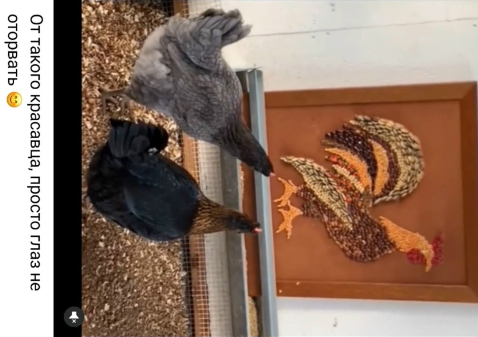 Иллюстрация к публикации