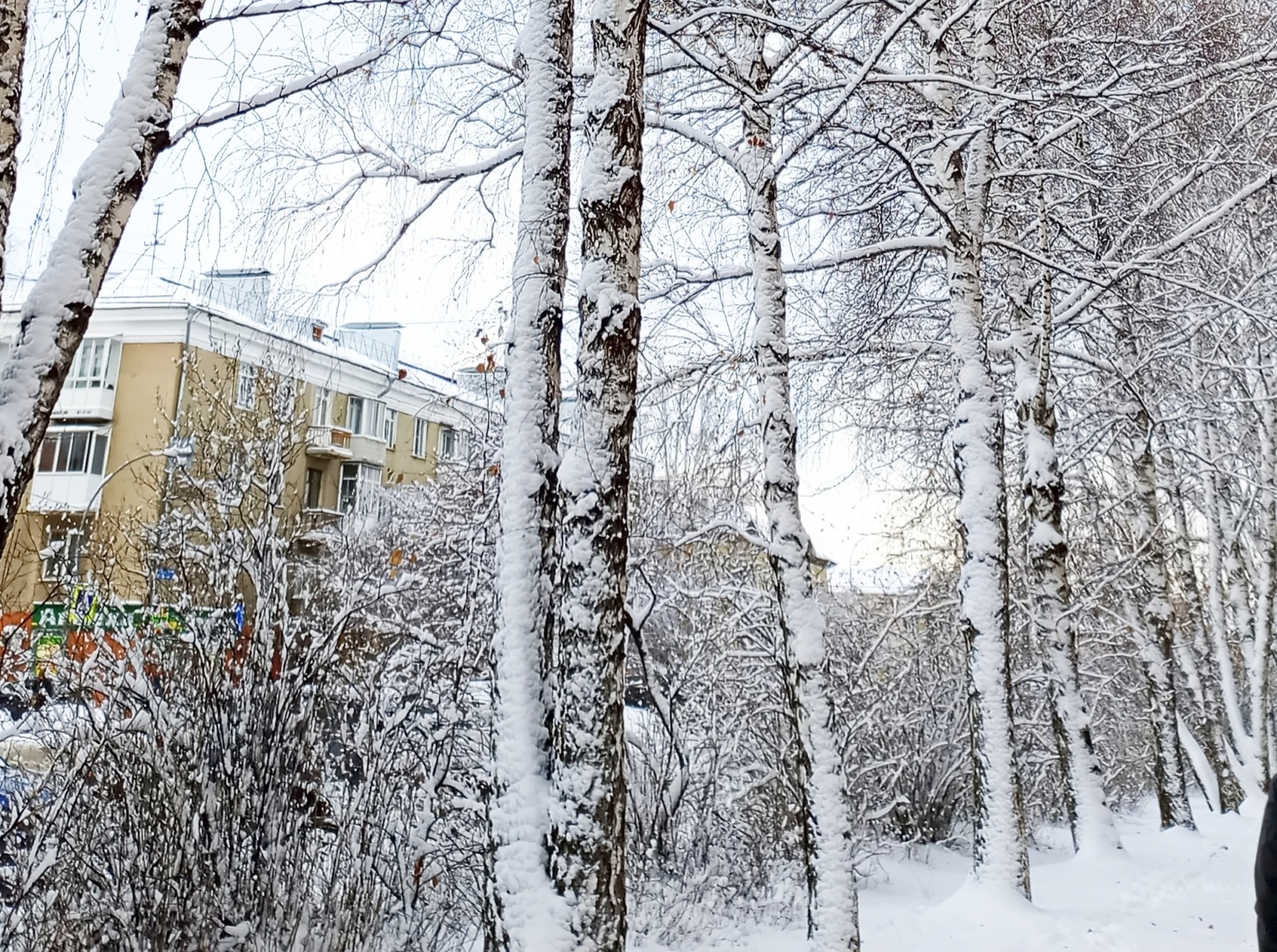 Иллюстрация к публикации