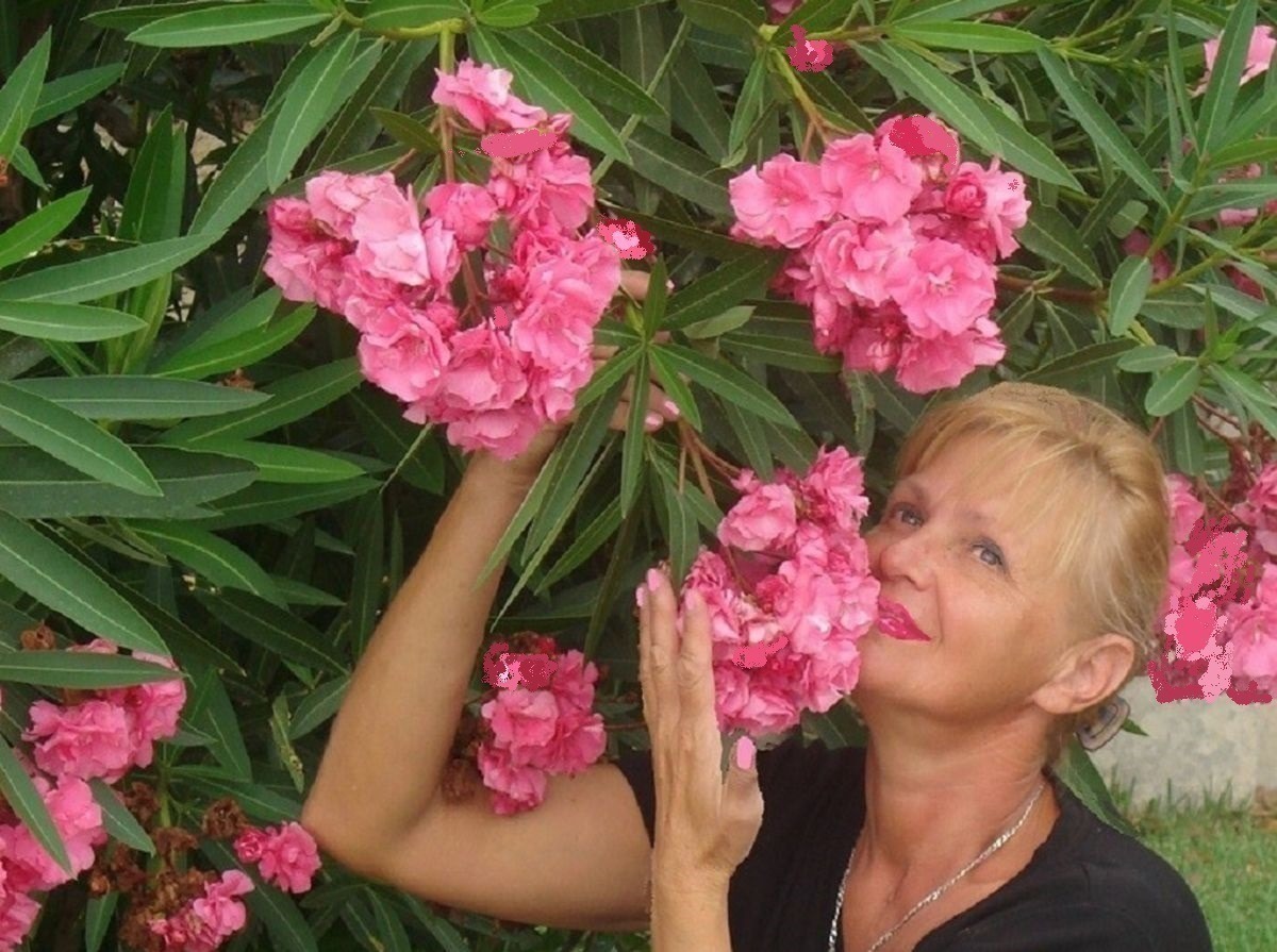 Иллюстрация к публикации