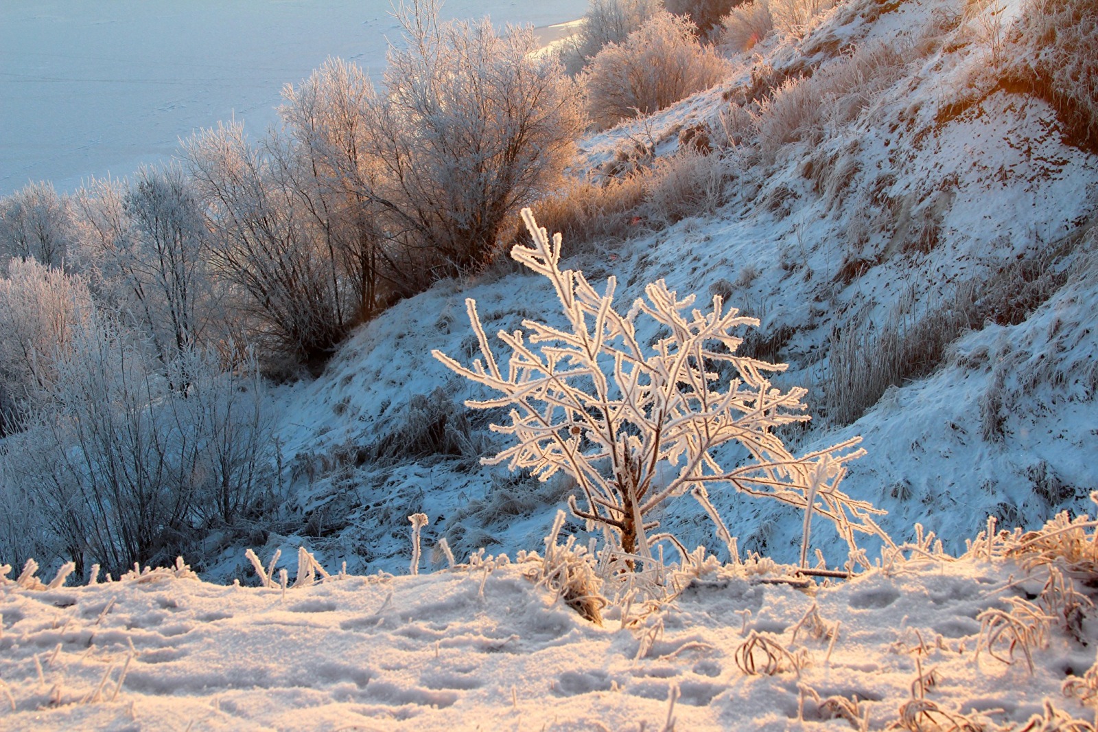 Иллюстрация к публикации