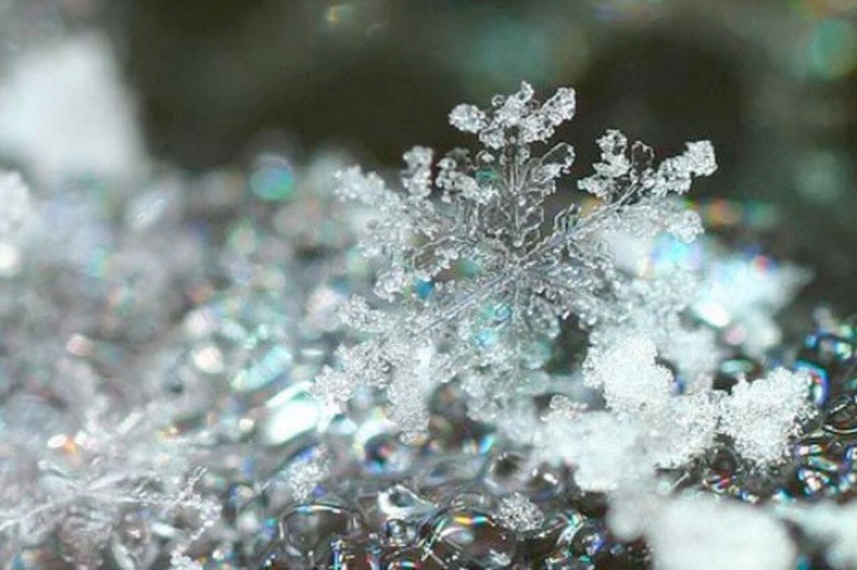 Иллюстрация к публикации