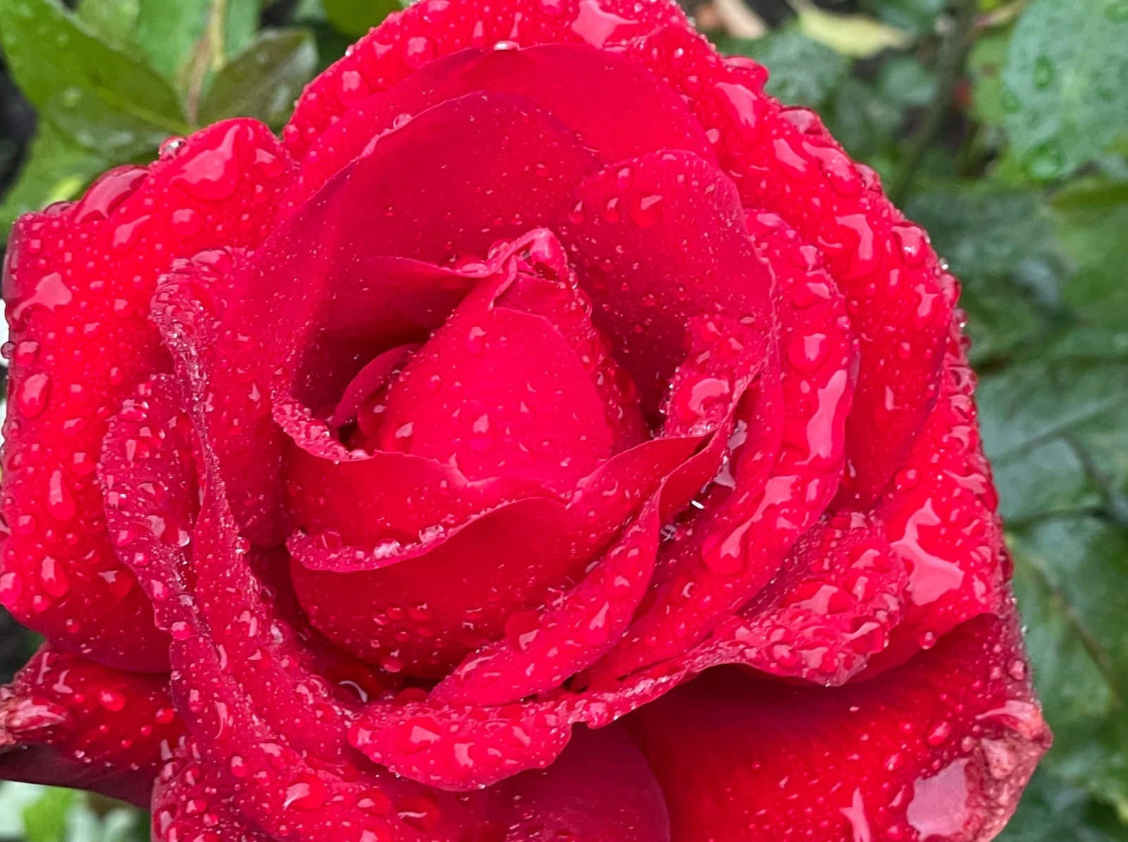 Иллюстрация к публикации