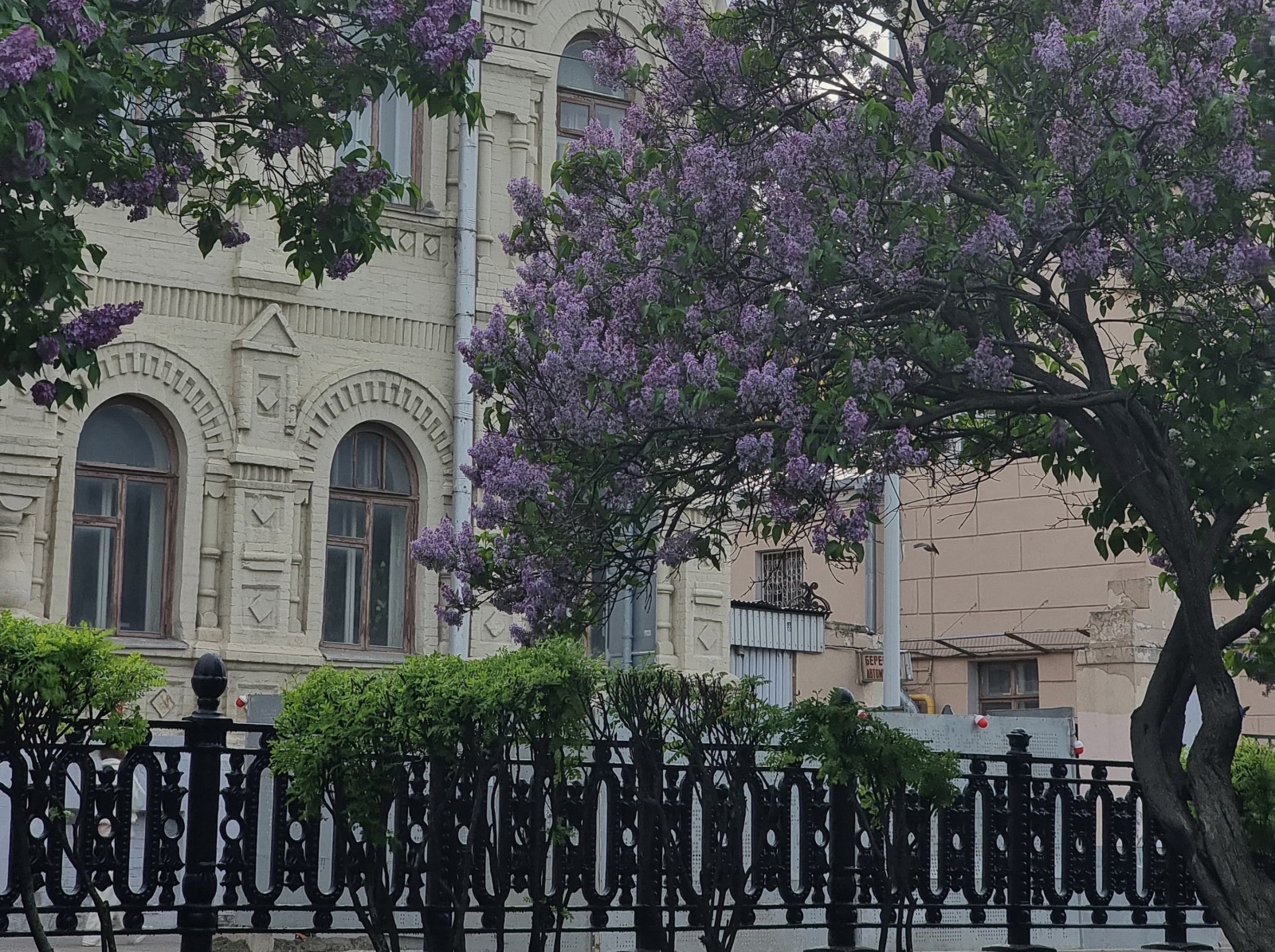 Иллюстрация к публикации