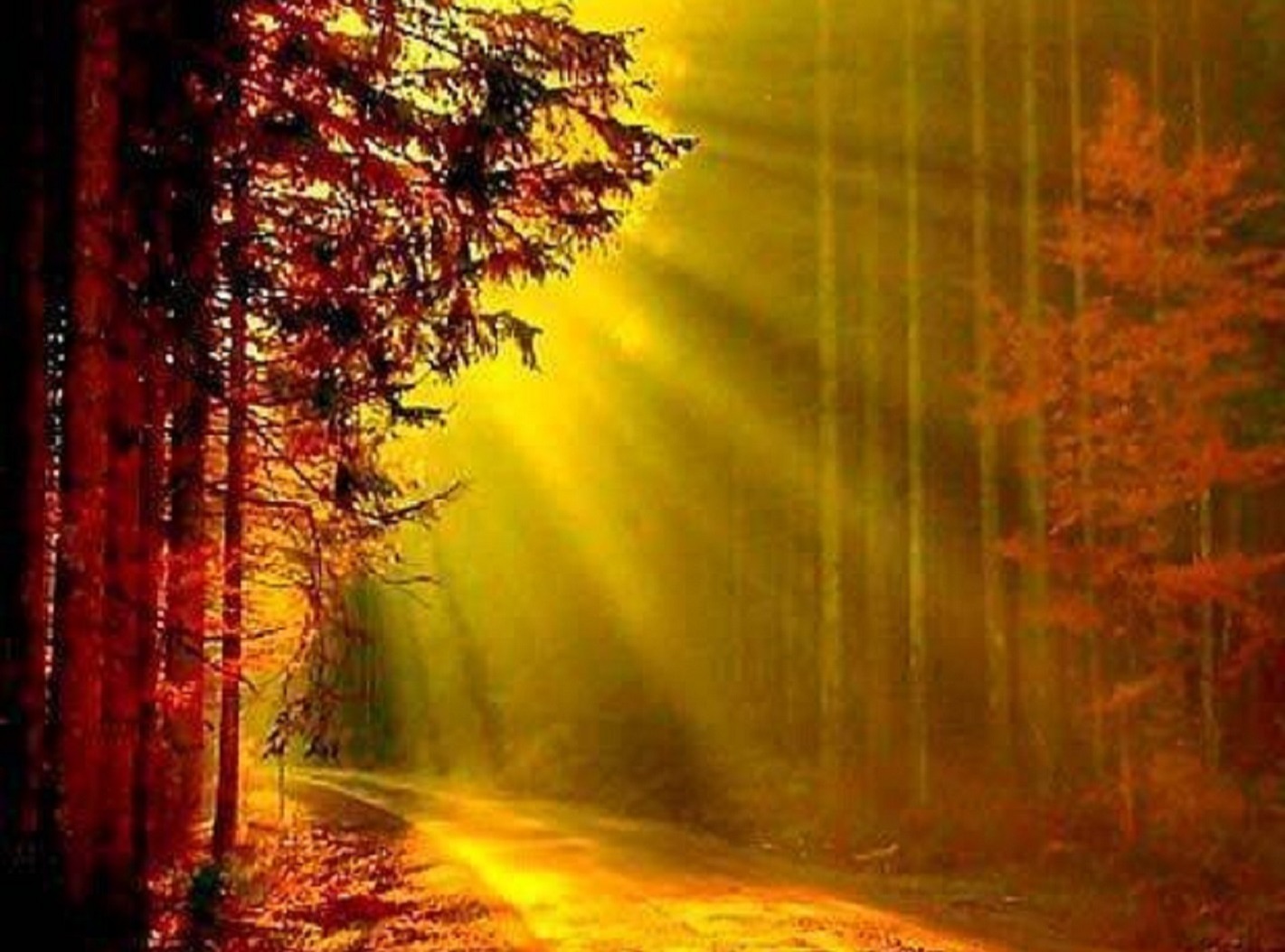 Иллюстрация к публикации