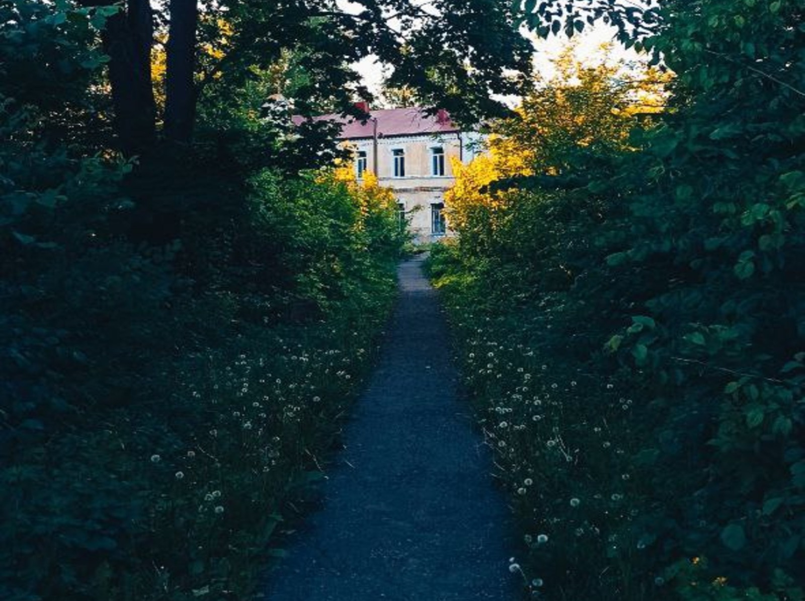 Иллюстрация к публикации