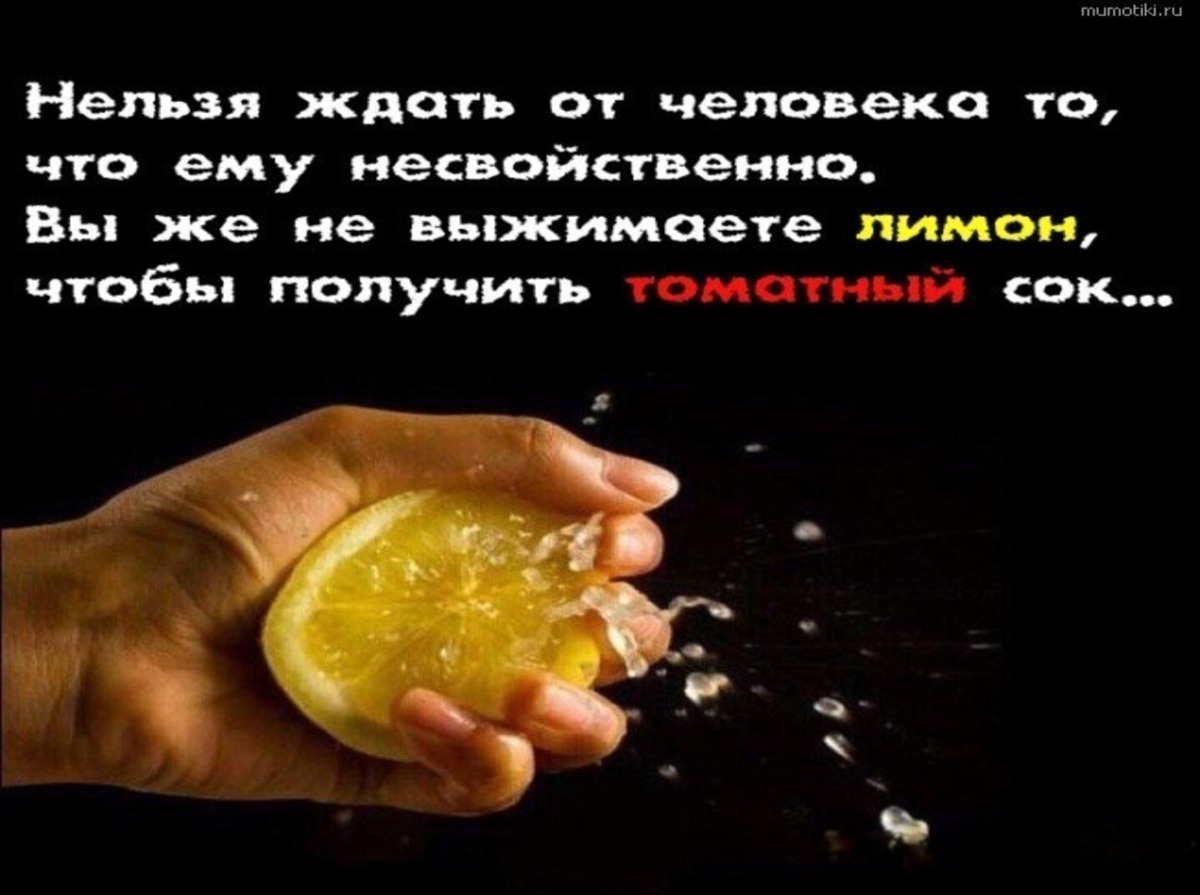 Иллюстрация к публикации