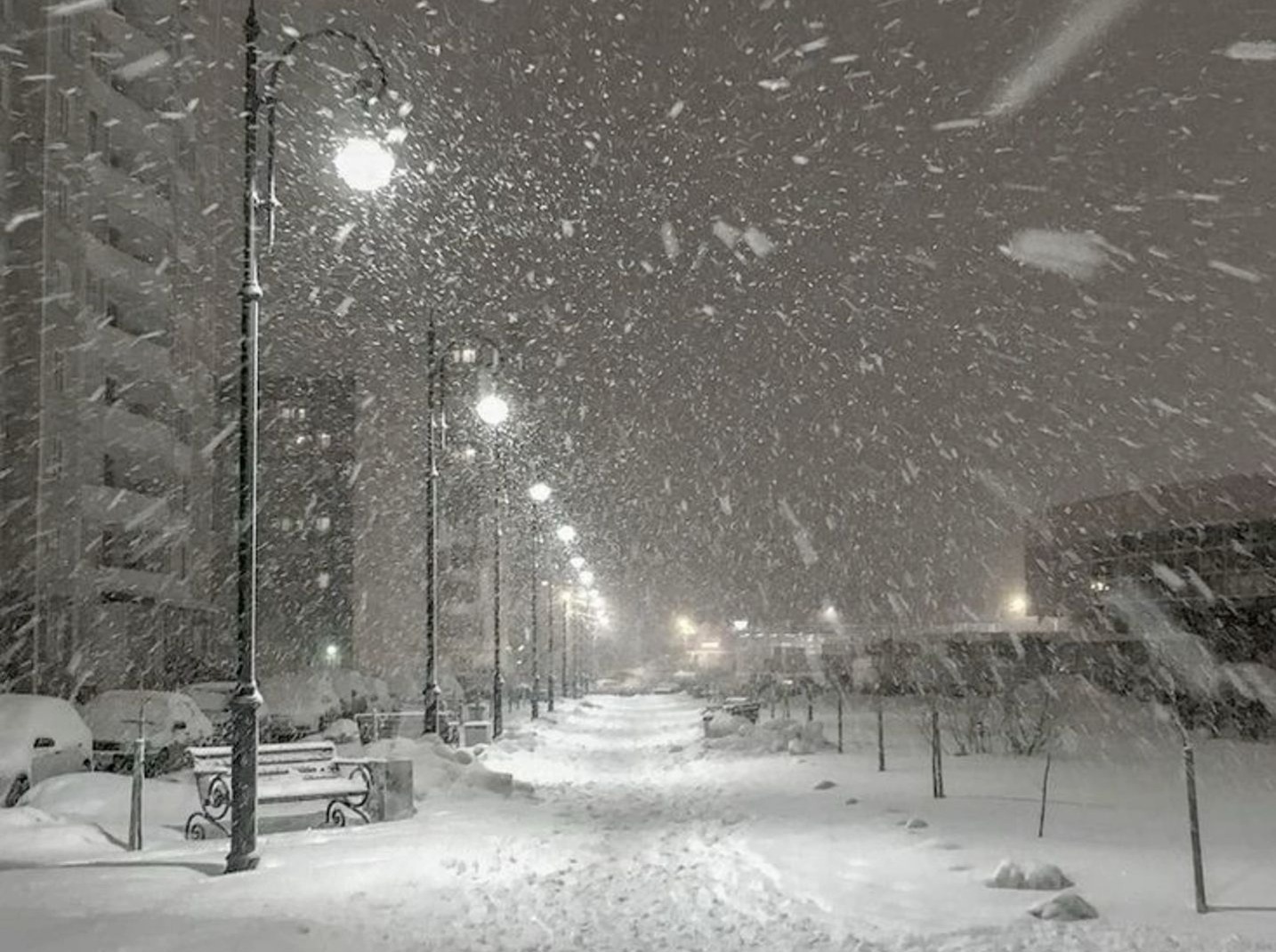 Иллюстрация к публикации