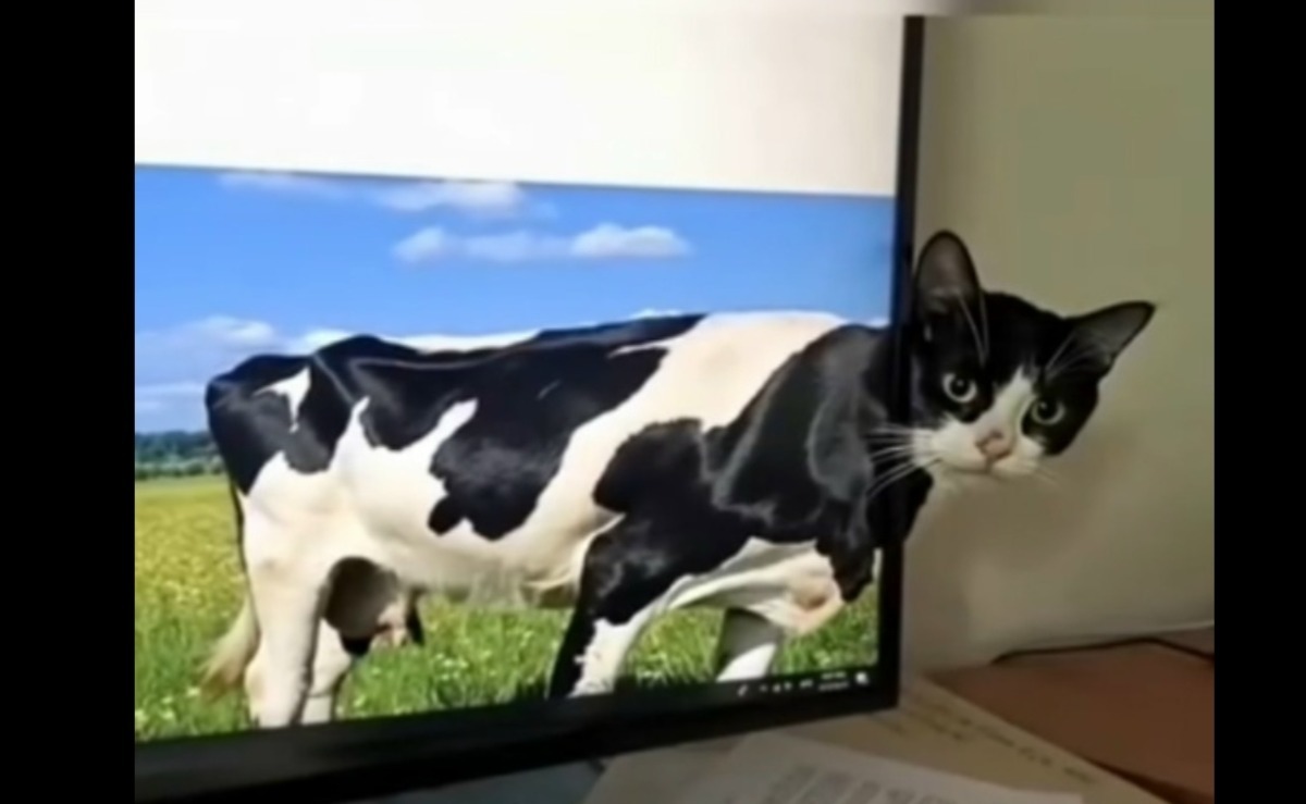 Иллюстрация к публикации