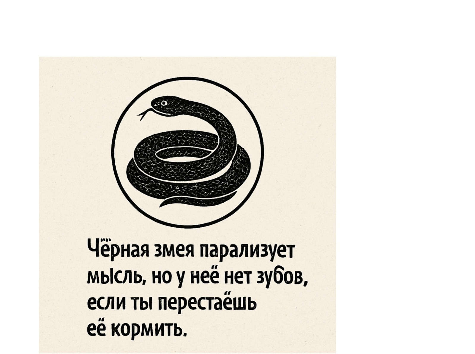 Иллюстрация к публикации