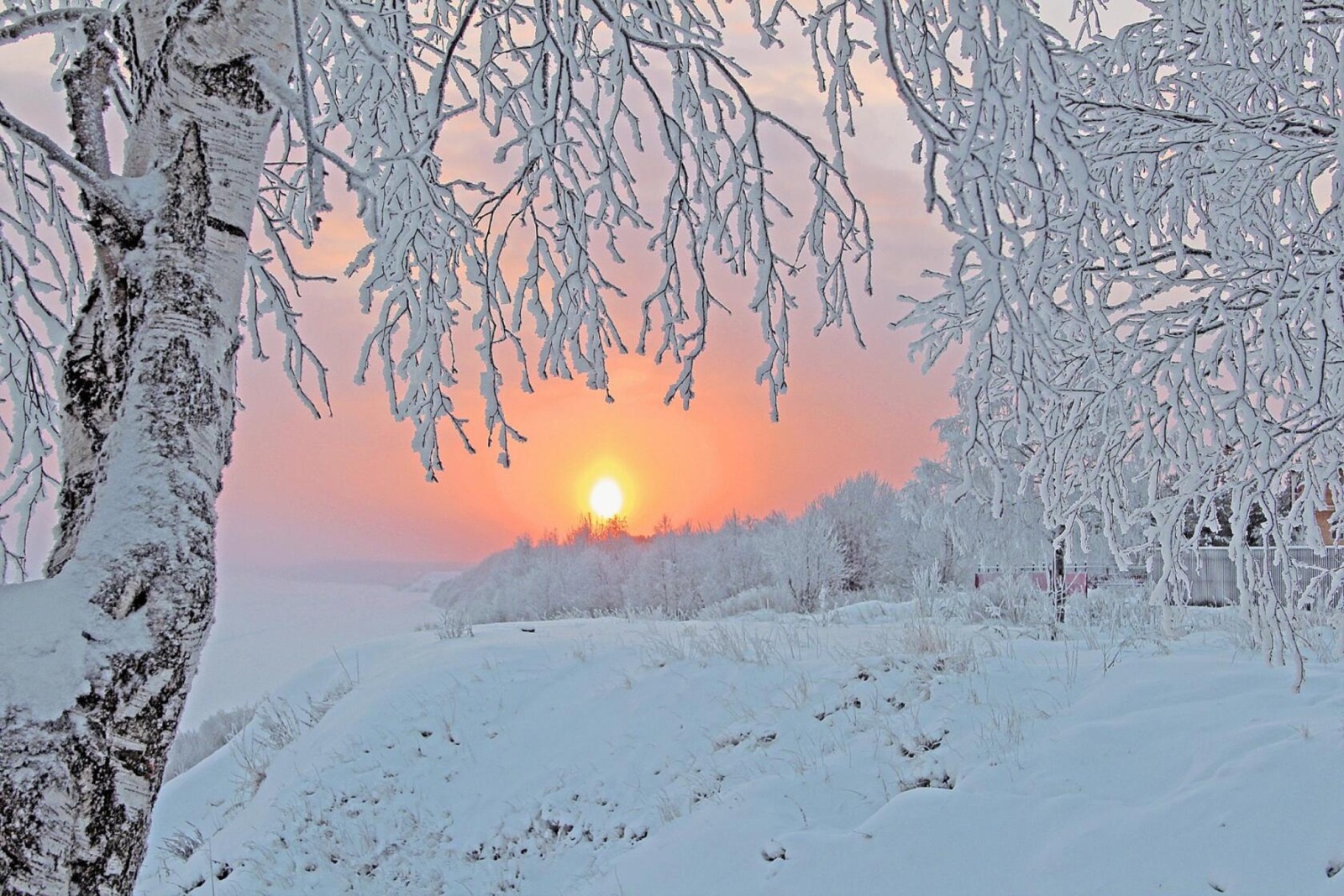 Иллюстрация к публикации