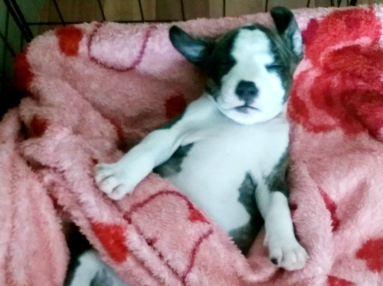 Иллюстрация к публикации