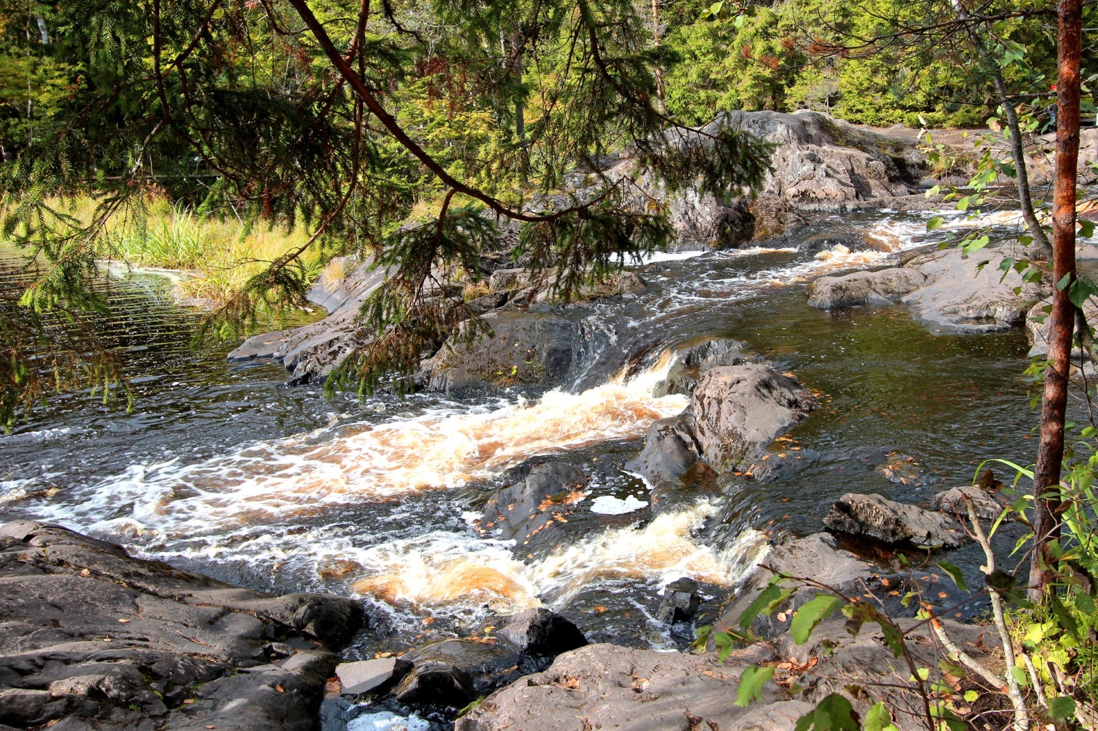 Иллюстрация к публикации