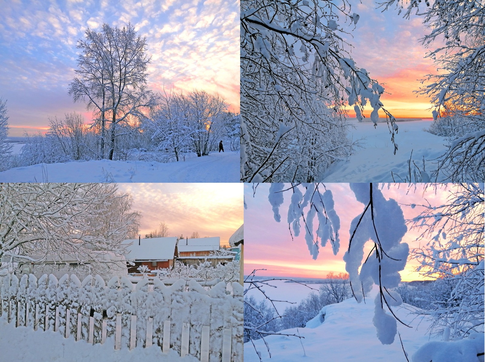 Иллюстрация к публикации