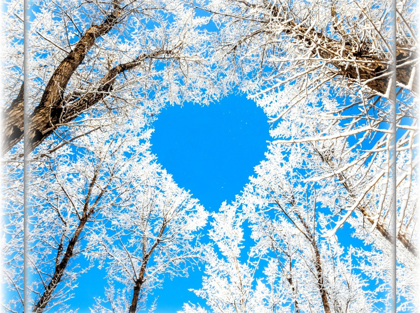 Иллюстрация к публикации