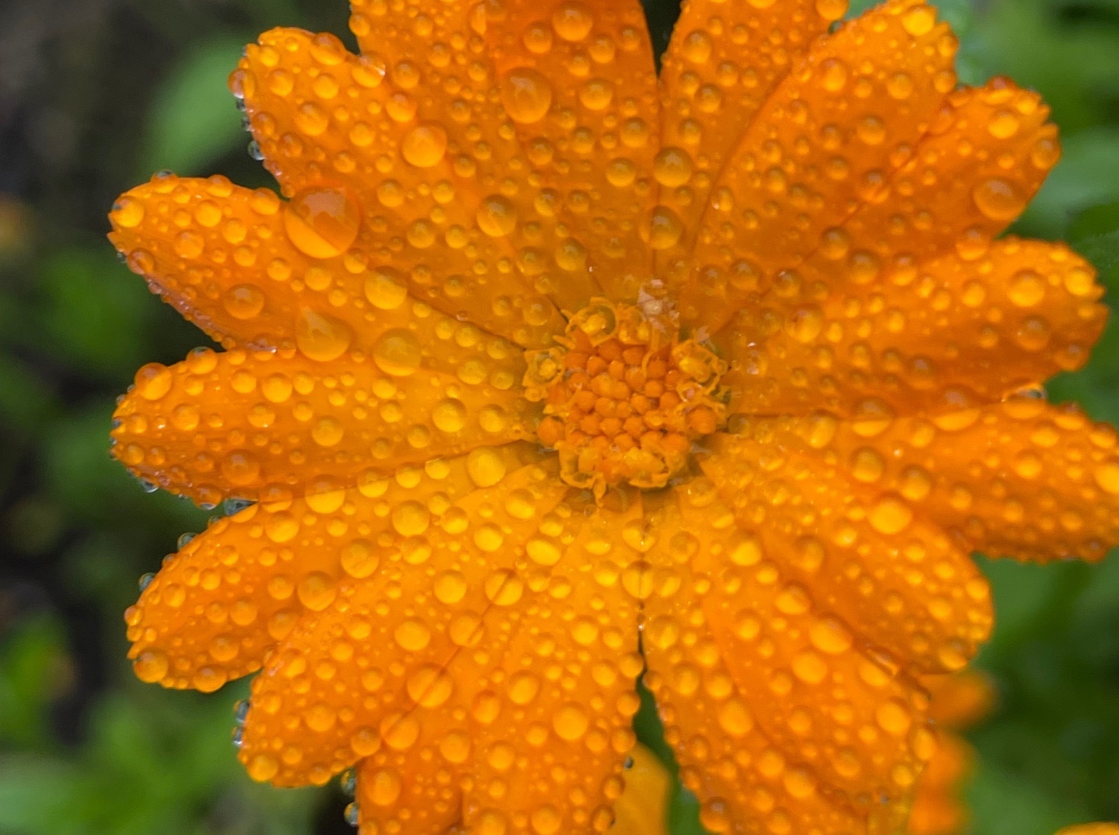 Иллюстрация к публикации