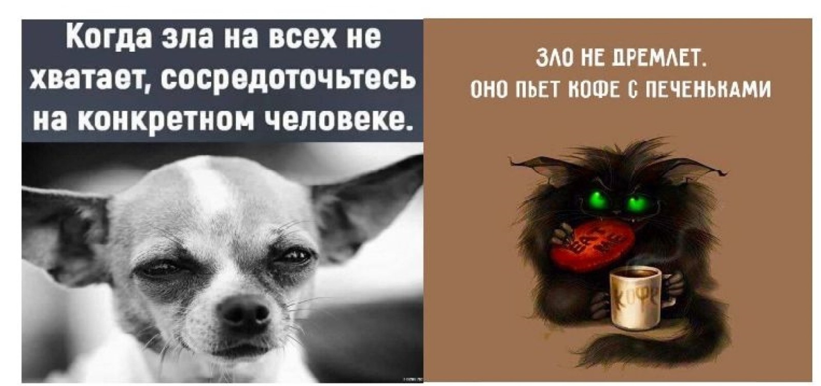 Иллюстрация к публикации