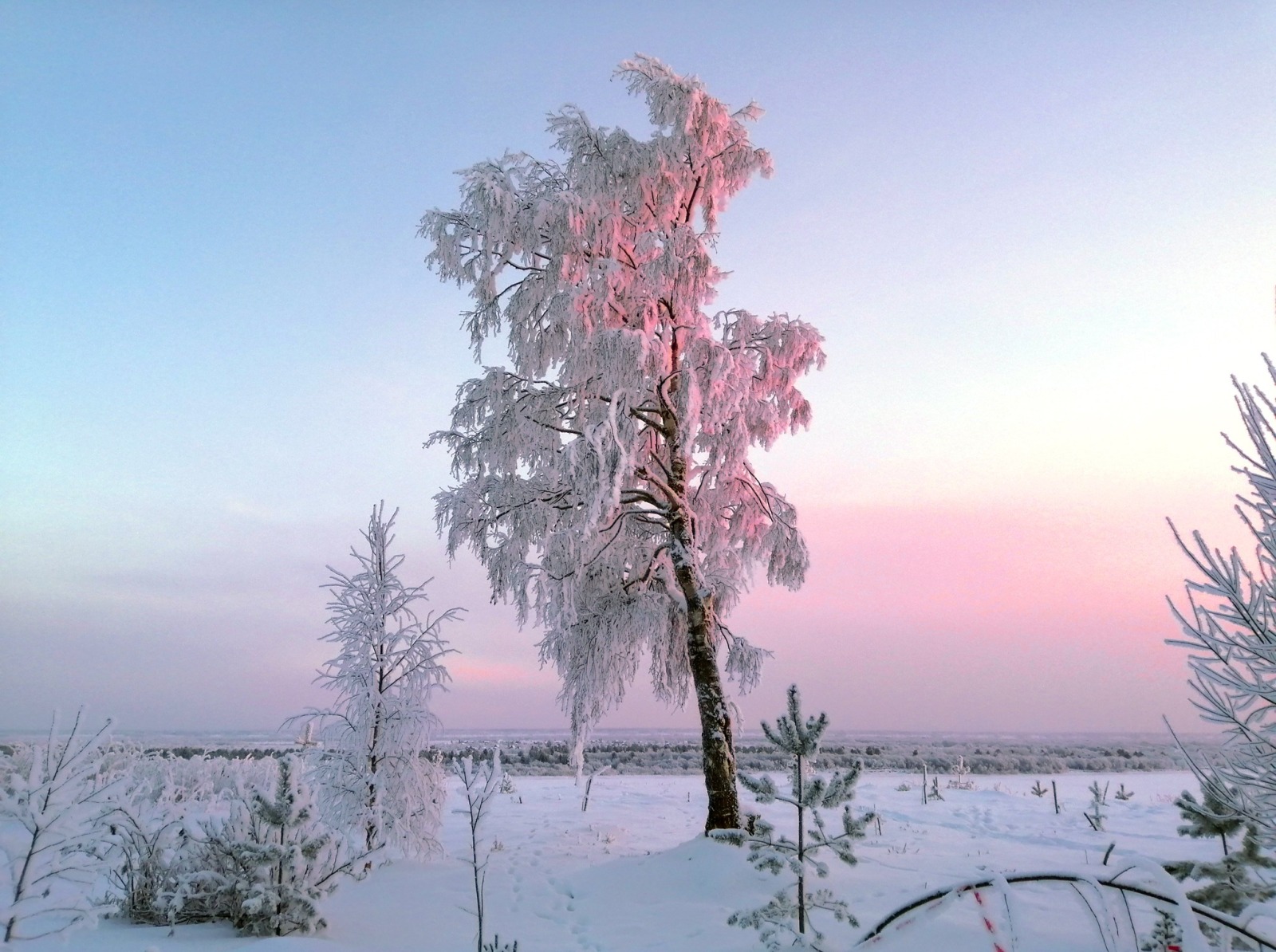 Иллюстрация к публикации