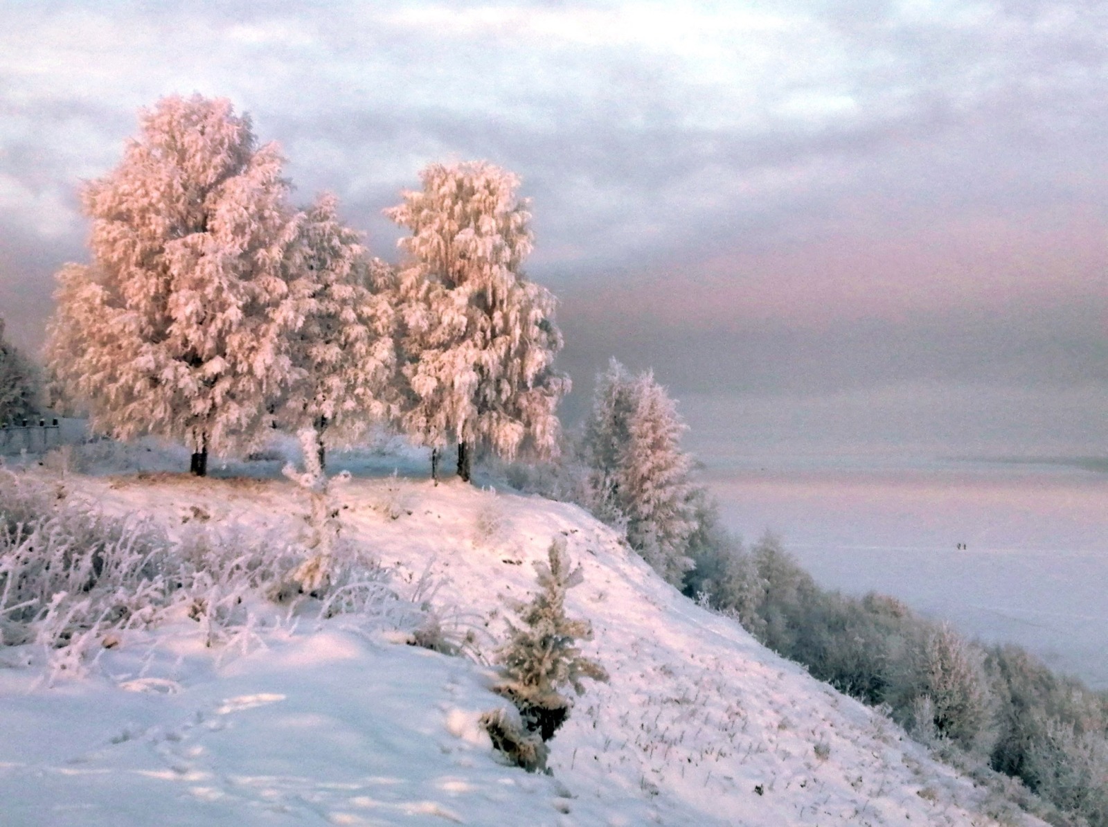 Иллюстрация к публикации
