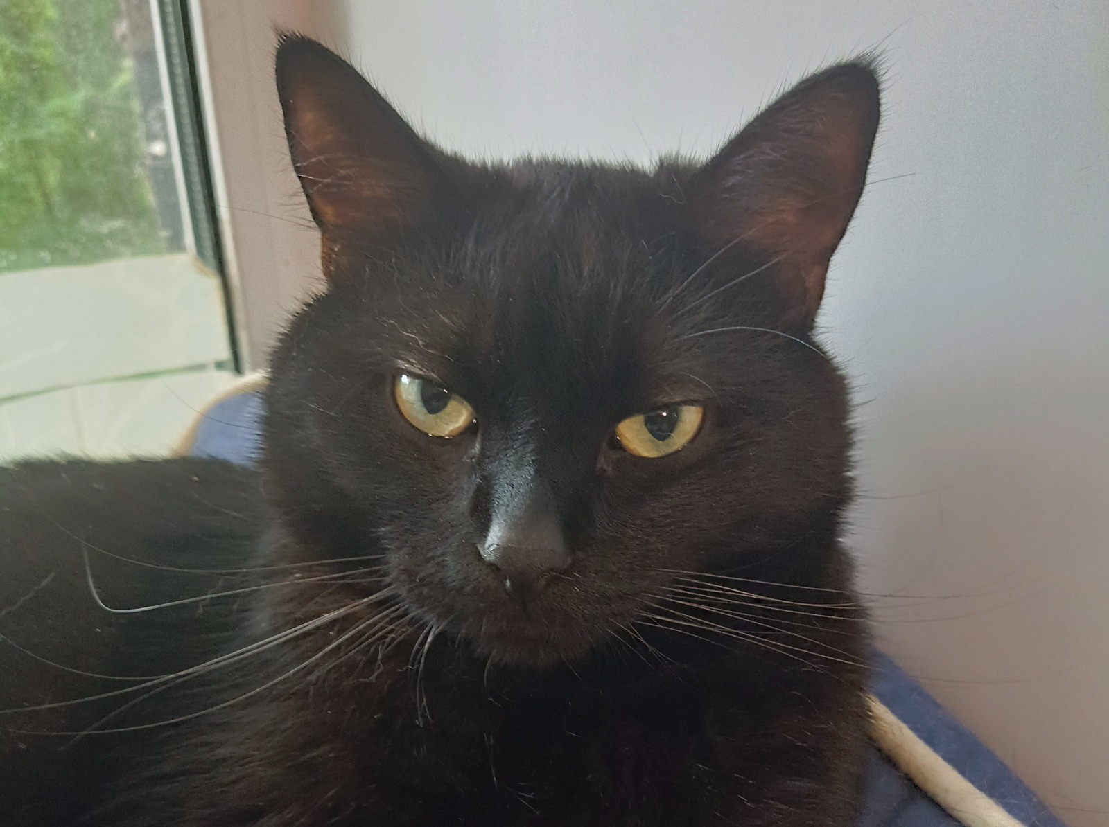 Иллюстрация к публикации