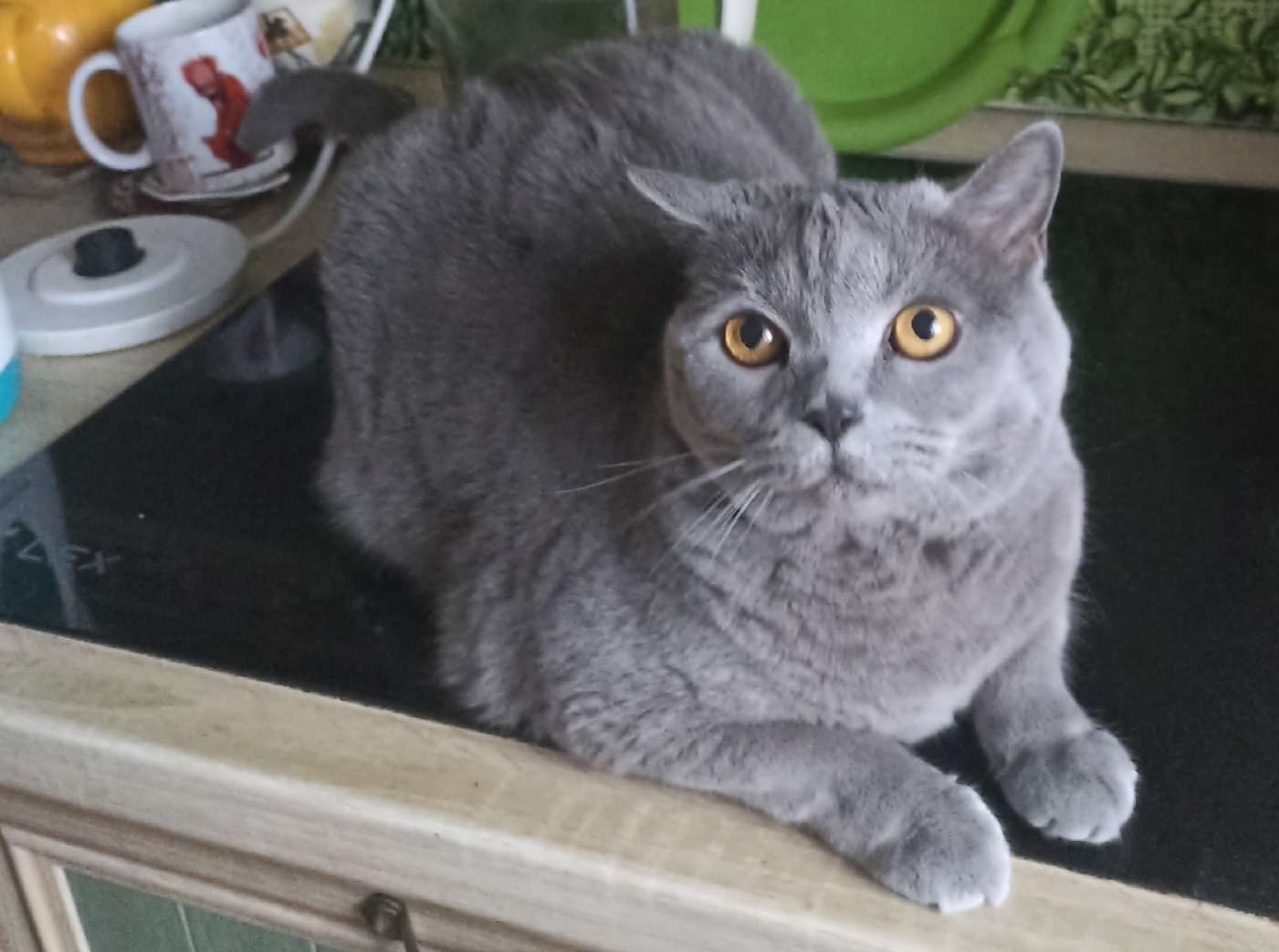 Иллюстрация к публикации