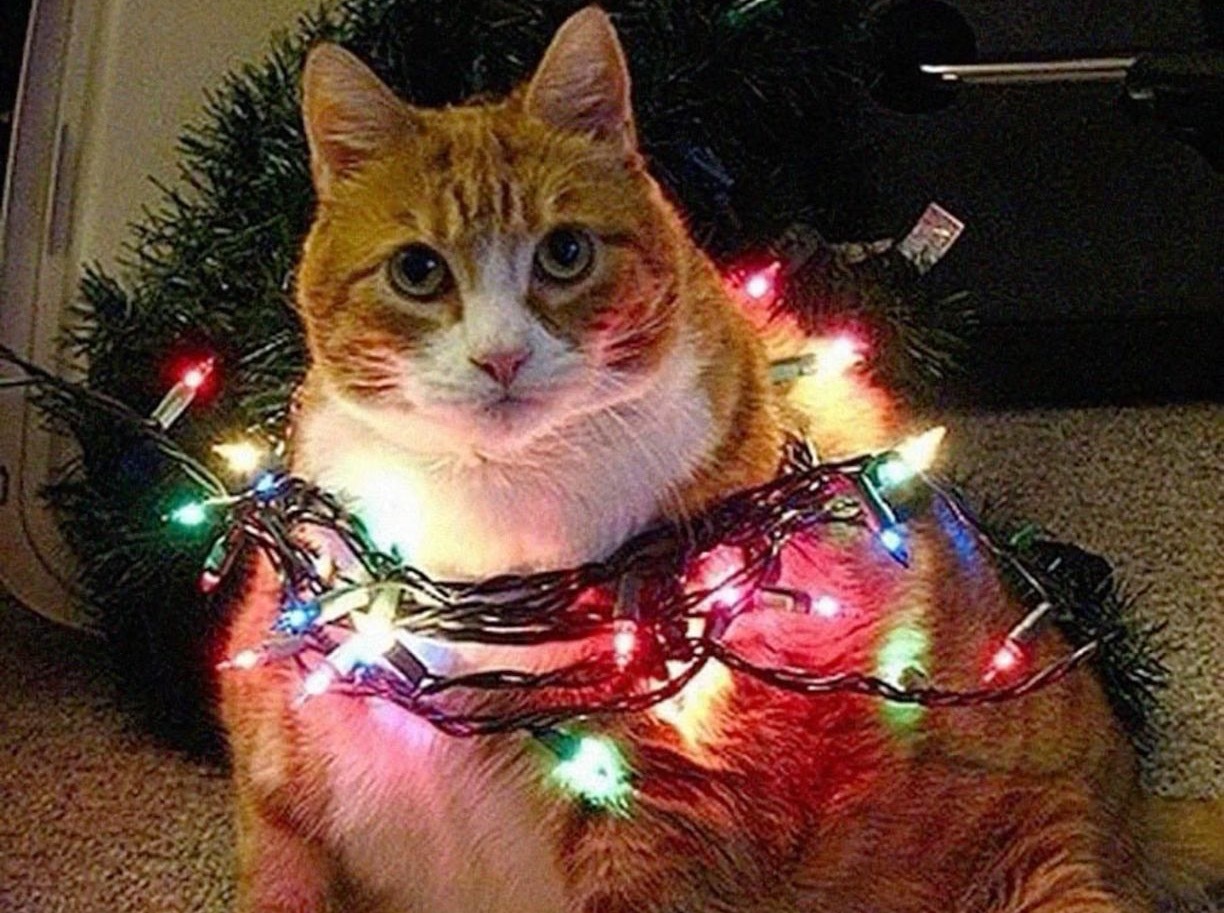 Иллюстрация к публикации