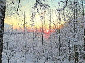 blob