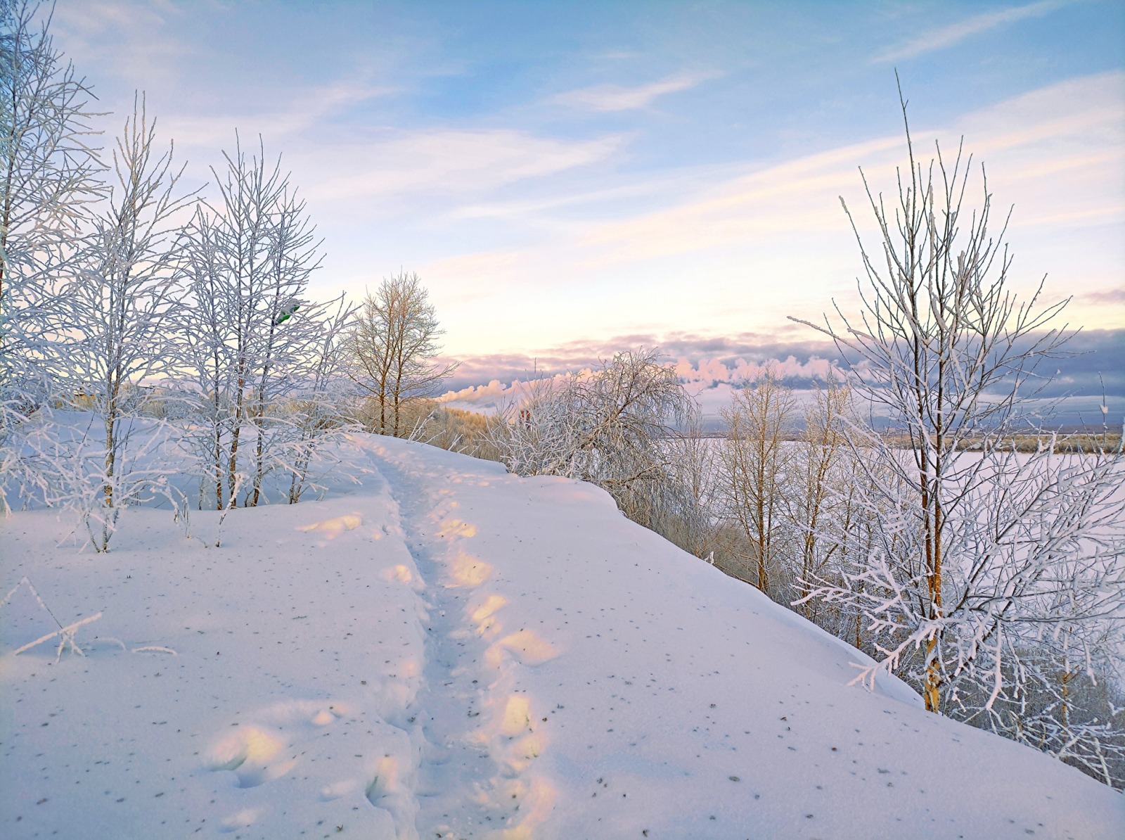 Иллюстрация к публикации