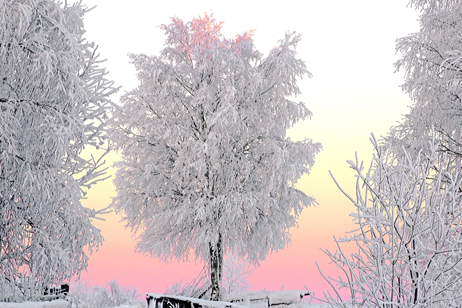 Иллюстрация к публикации