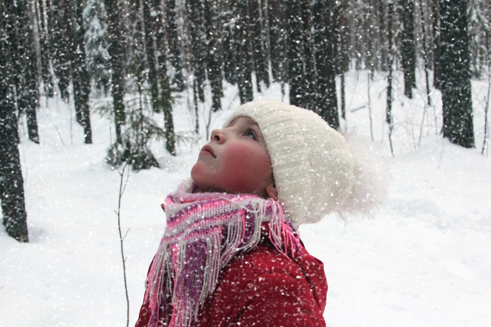 Иллюстрация к публикации