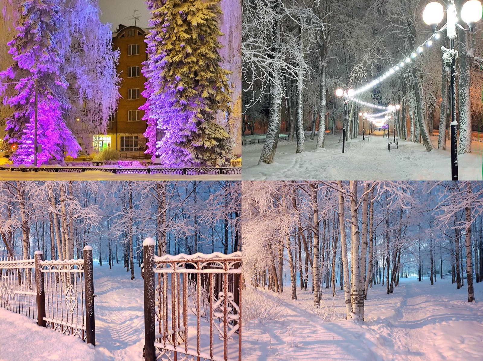 Иллюстрация к публикации