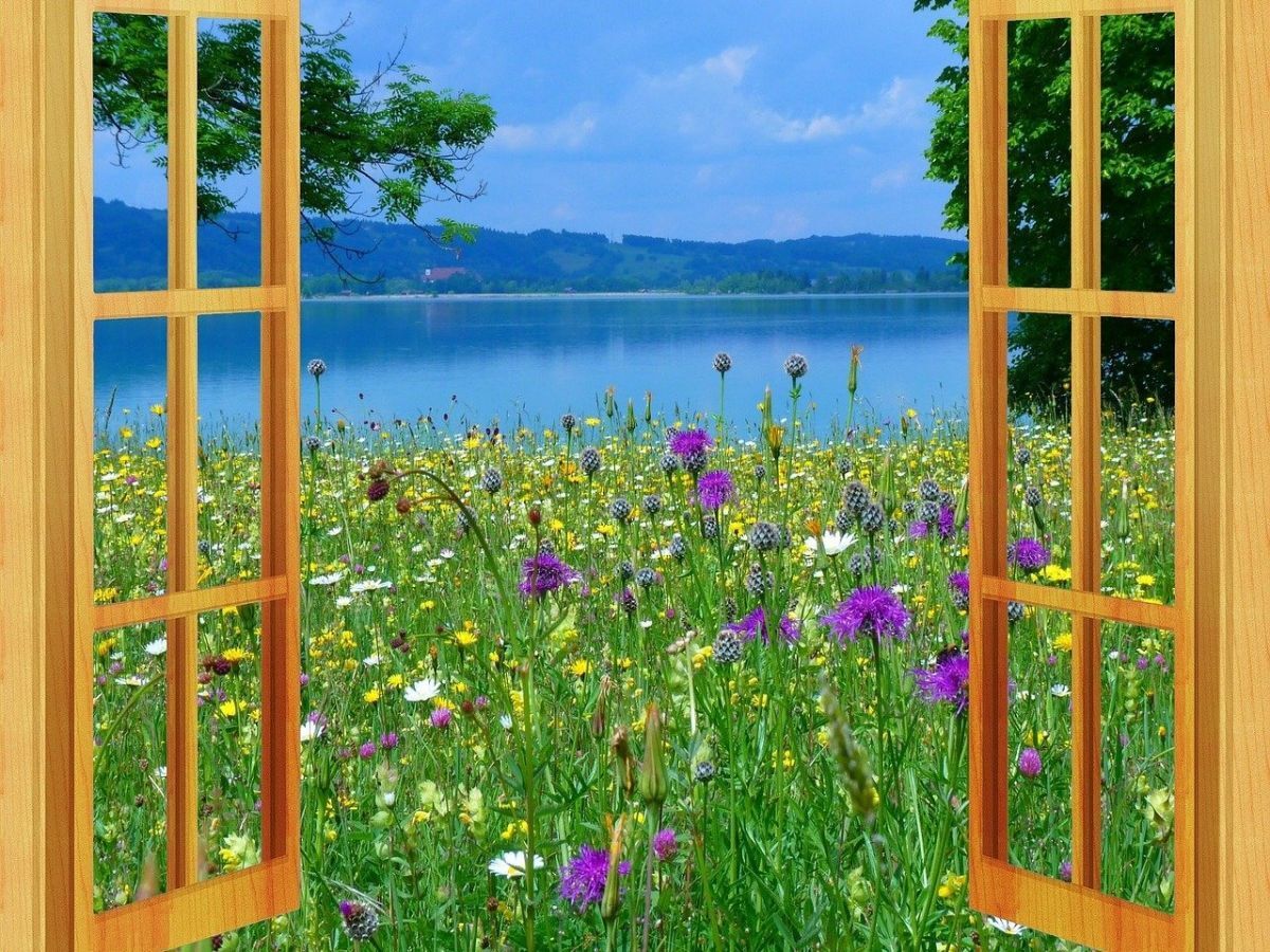 Иллюстрация к публикации