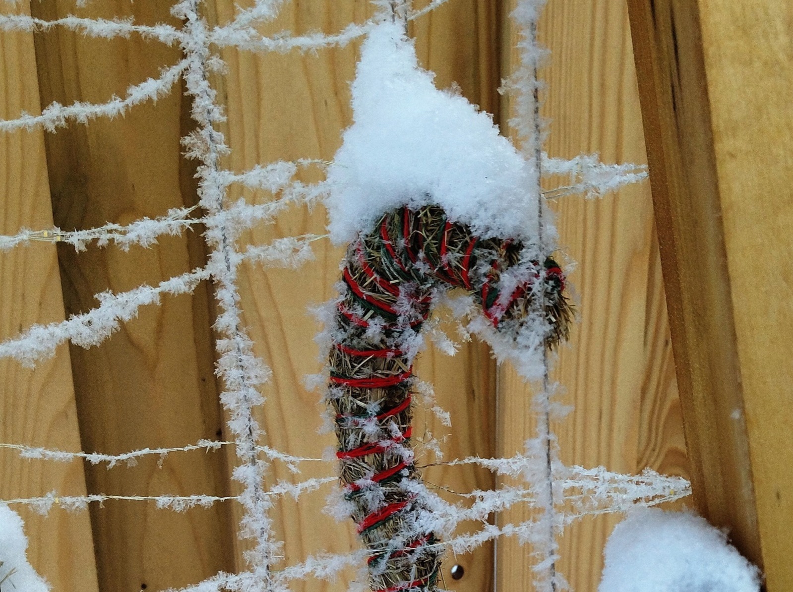 Иллюстрация к публикации