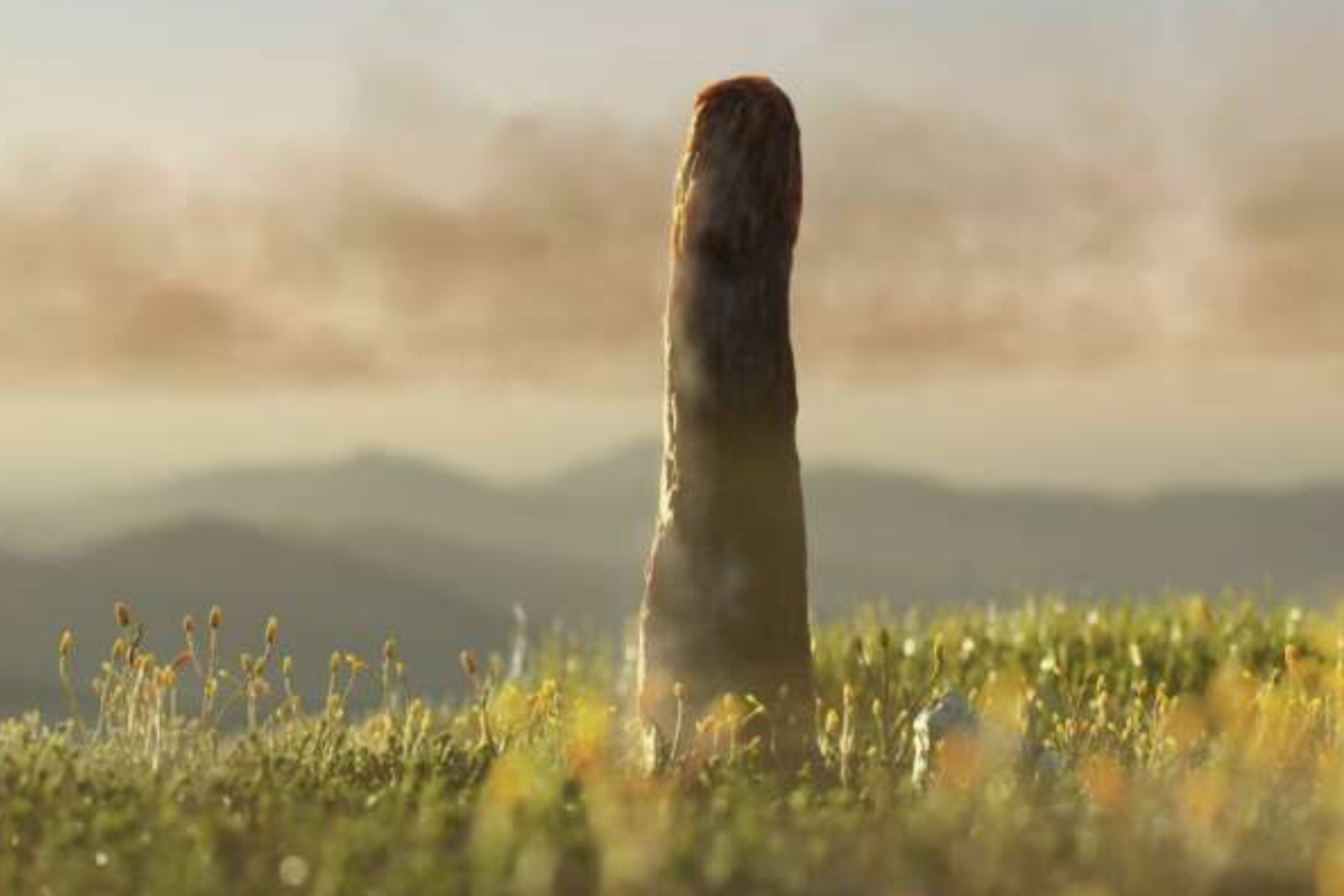 Иллюстрация к публикации