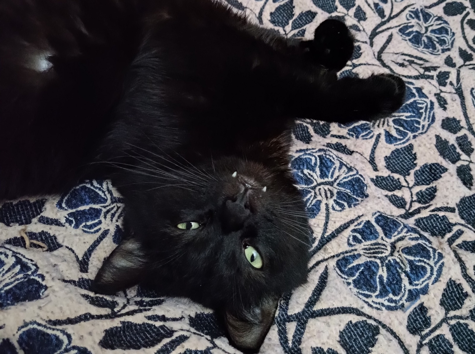 Иллюстрация к публикации