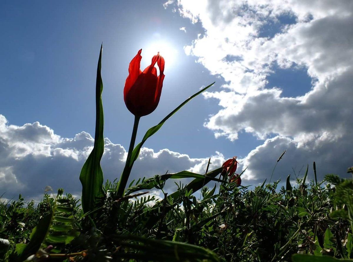 Иллюстрация к публикации