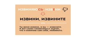 1629521-9833