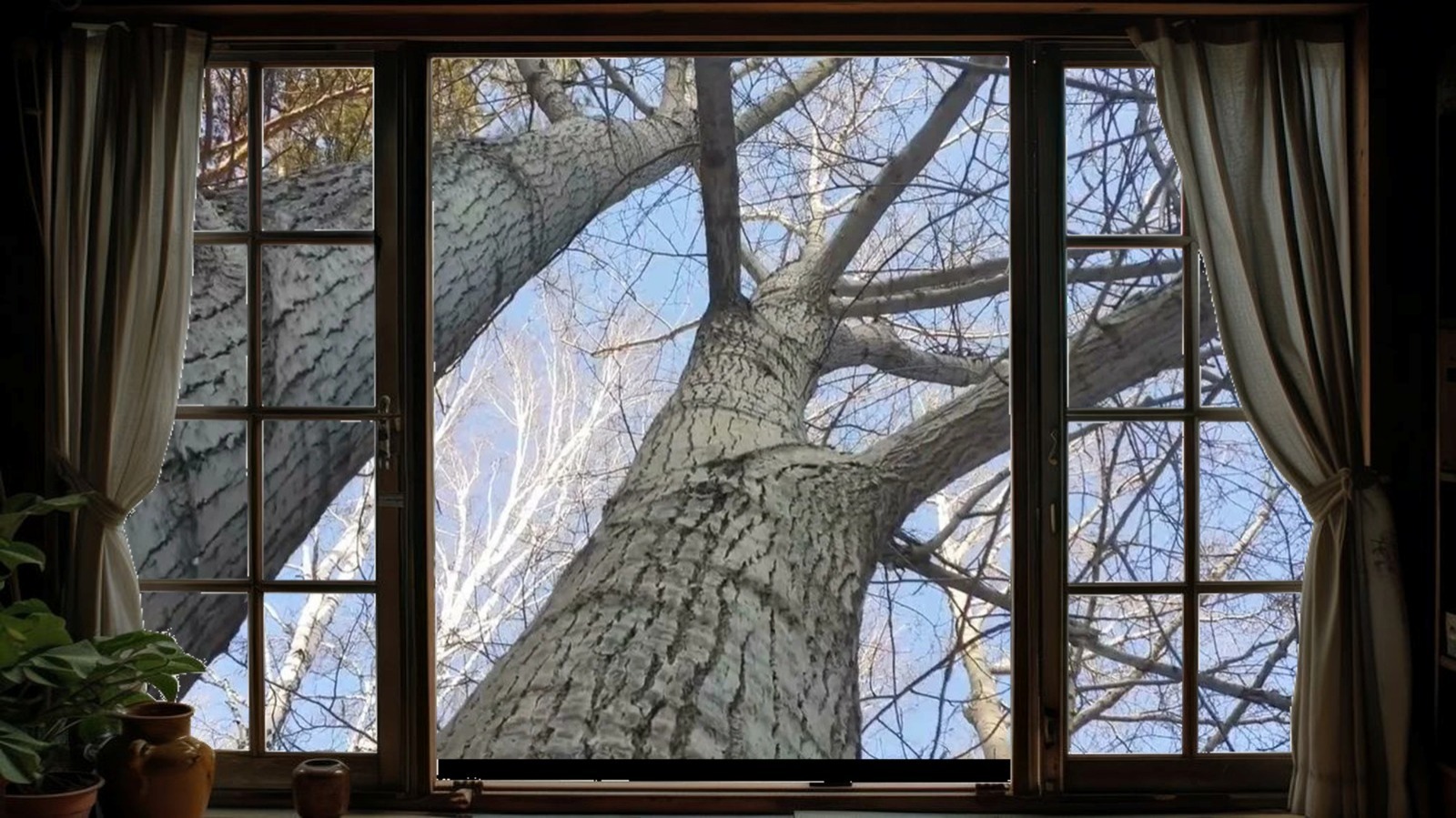 Иллюстрация к публикации