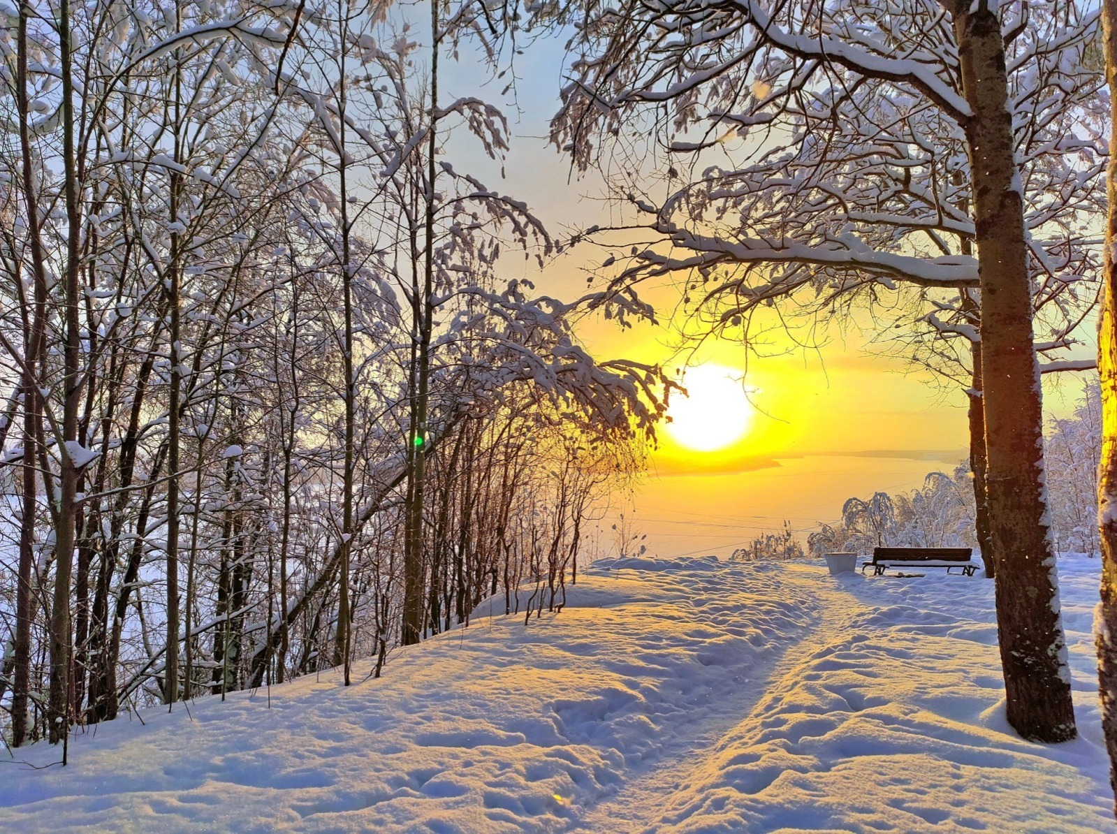 Иллюстрация к публикации