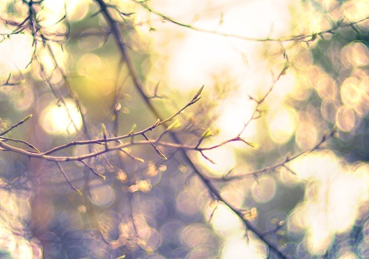 Иллюстрация к публикации