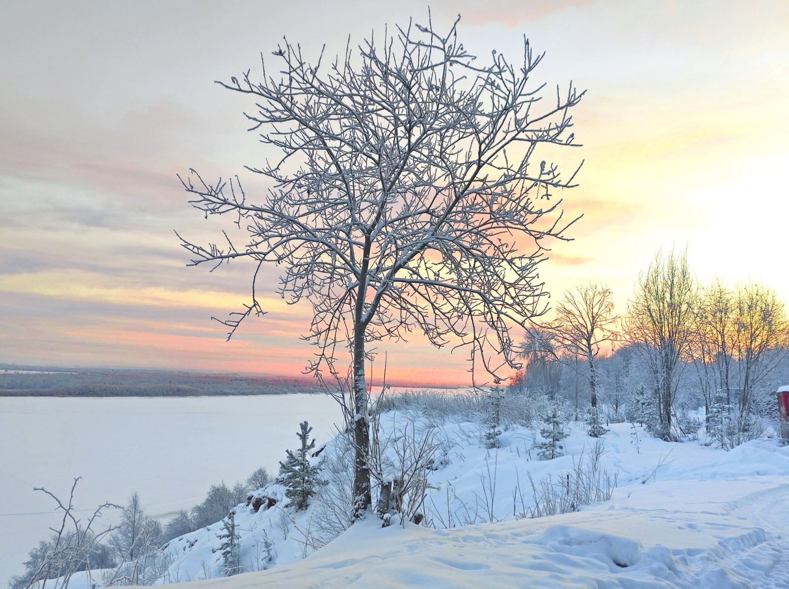 Иллюстрация к публикации