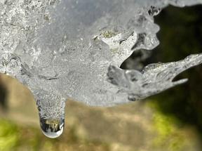 blob