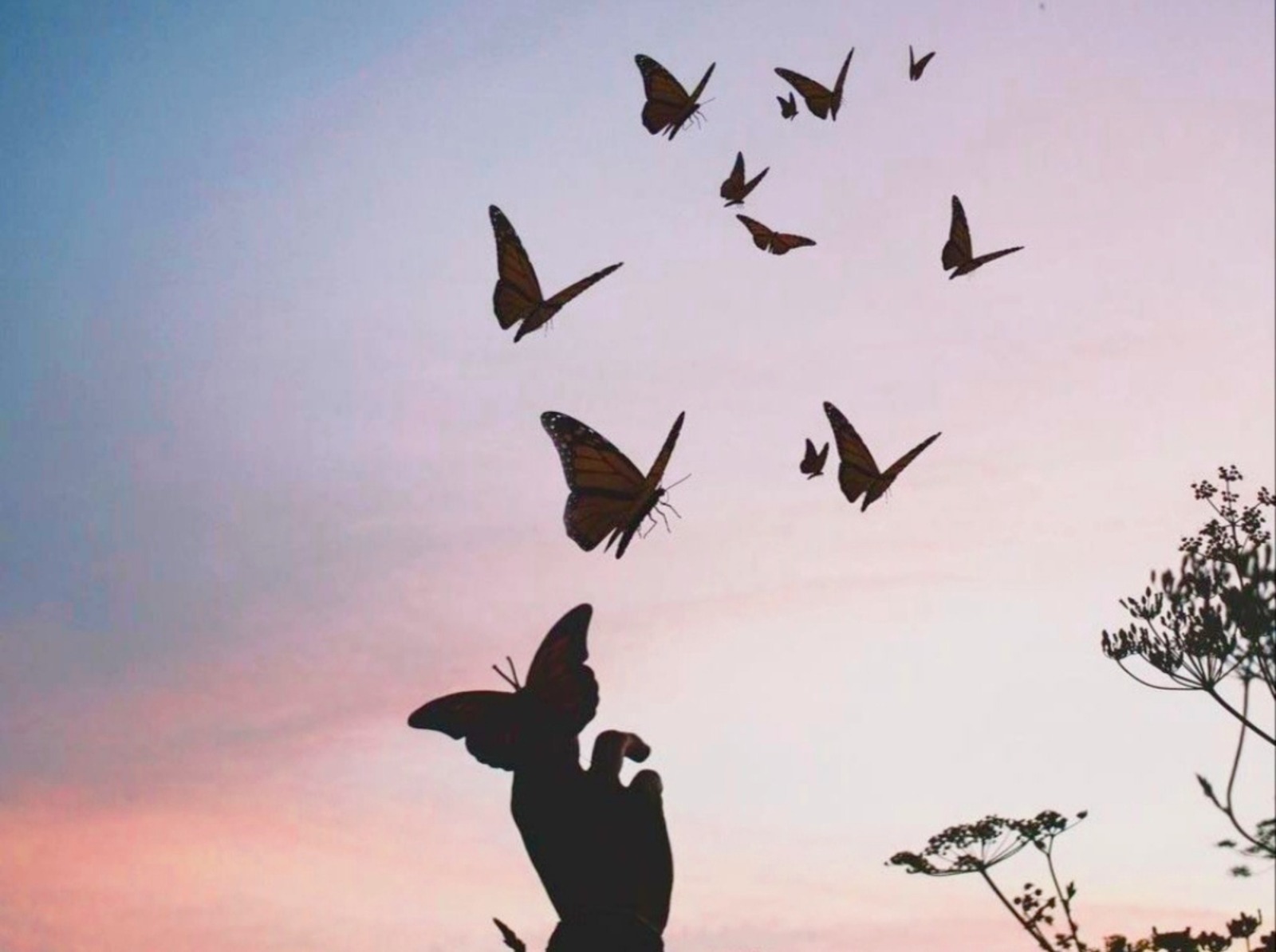 Иллюстрация к публикации