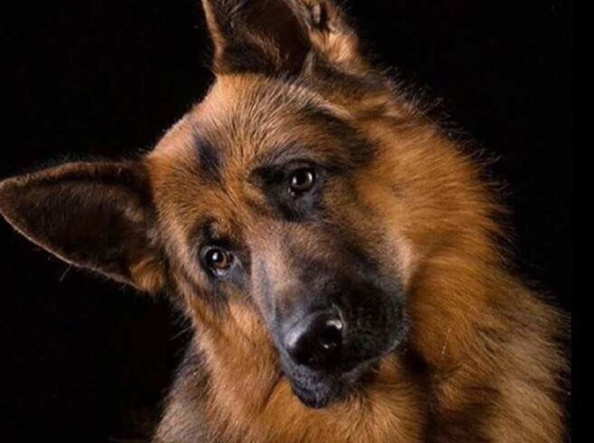 Иллюстрация к публикации