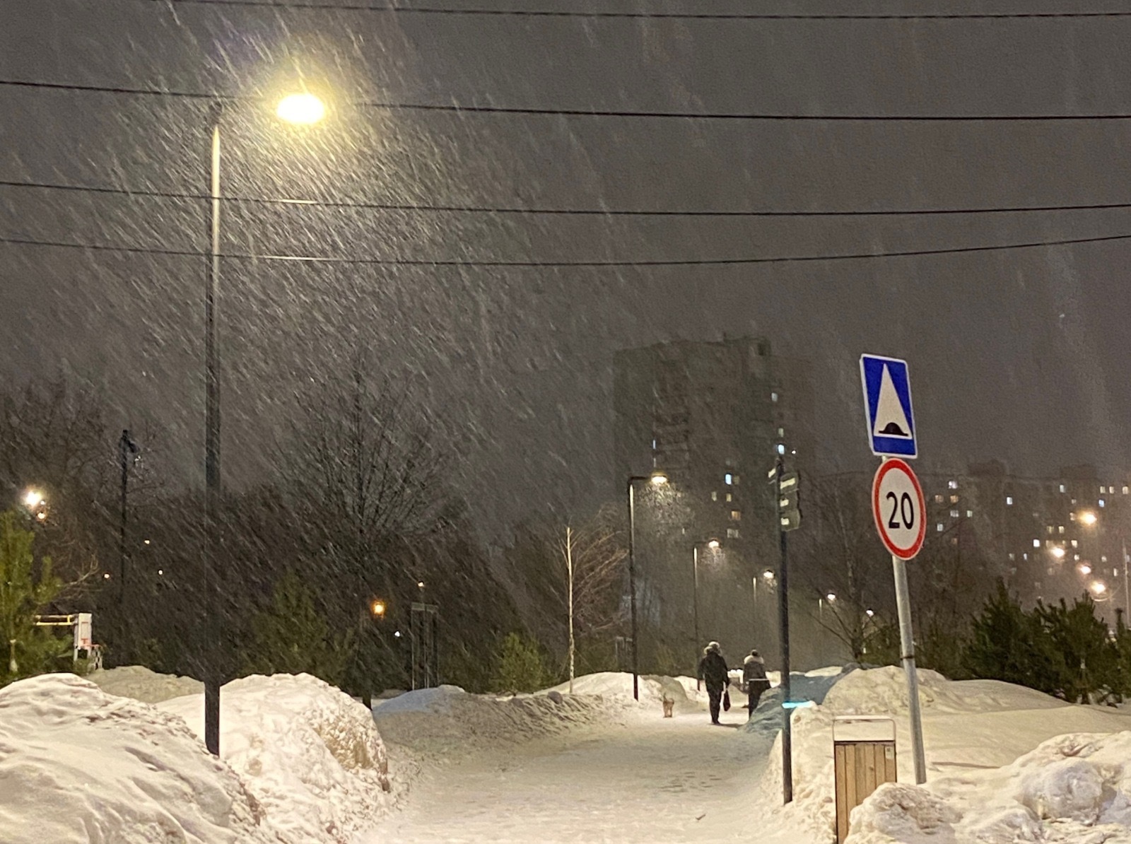 Иллюстрация к публикации